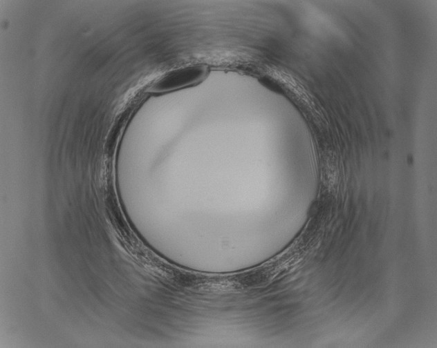 X0000066530583200604071619