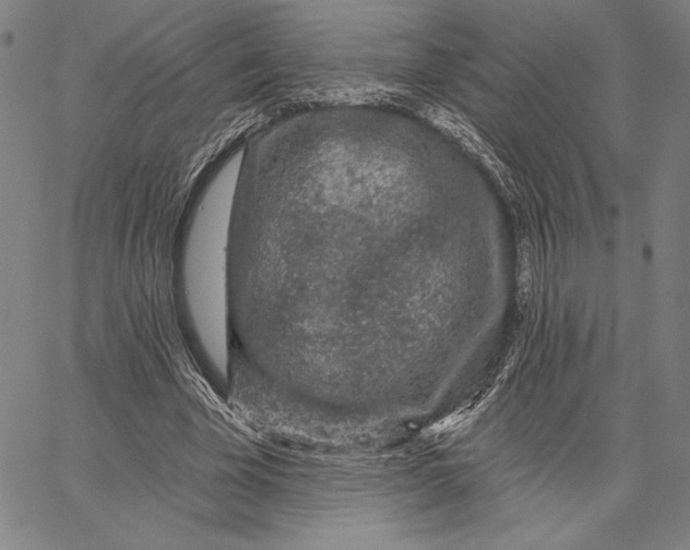 X0000066530585200604071619