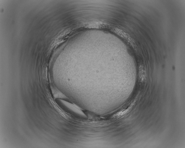 X0000066530589200604071619