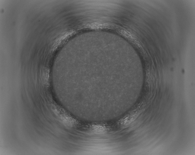 X0000066530592200604071619