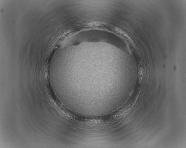 X0000066530593200604071619