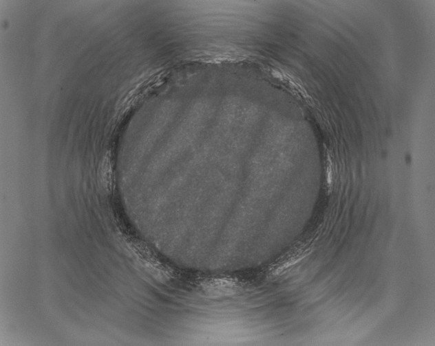 X0000066530594200604071619