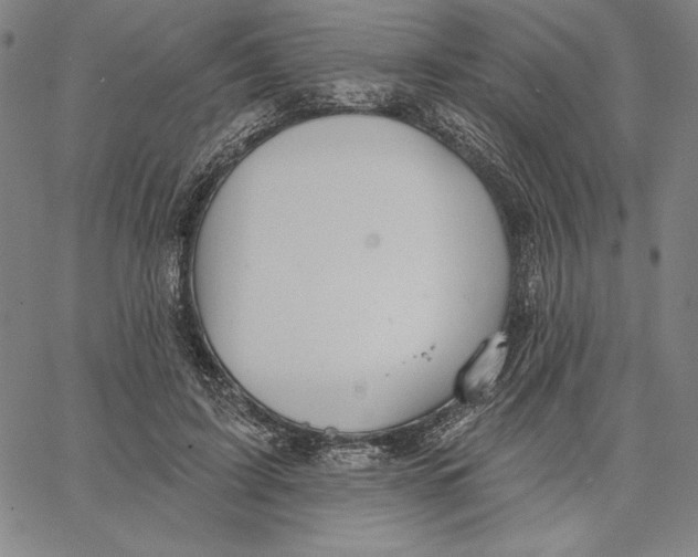 X0000066530595200604071619