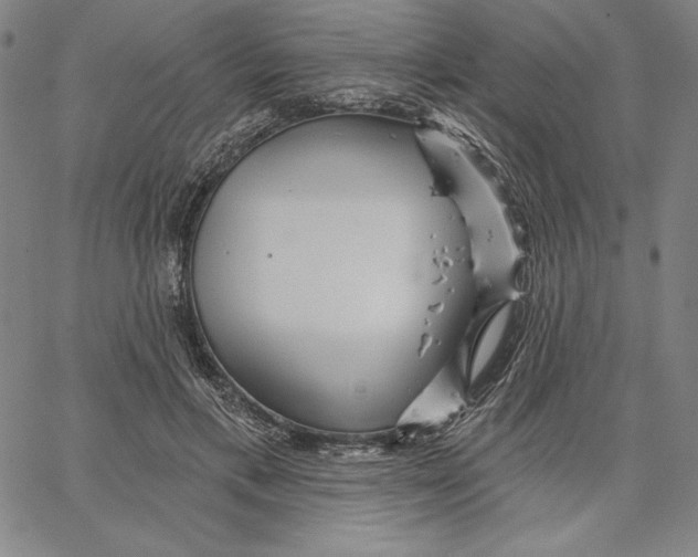 X0000066530597200604071619