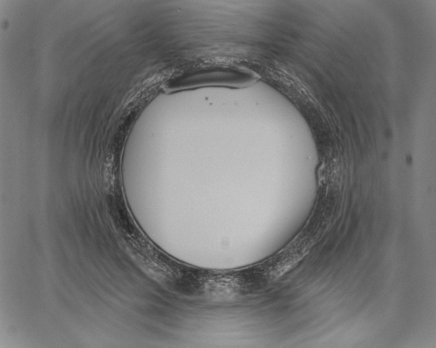 X0000066530599200604071619