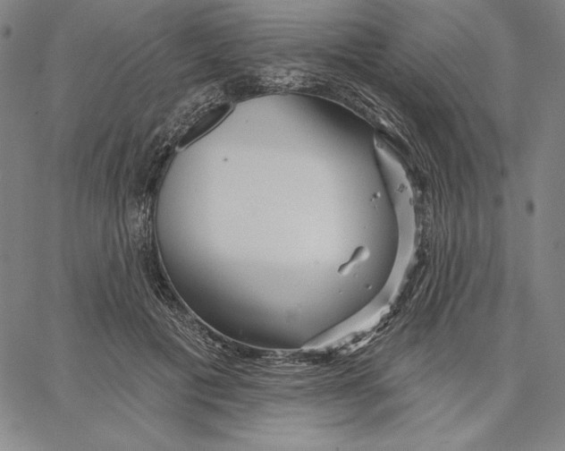 X0000066530601200604071619