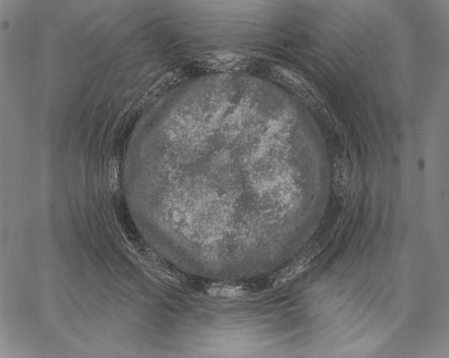 X0000066530602200604071619