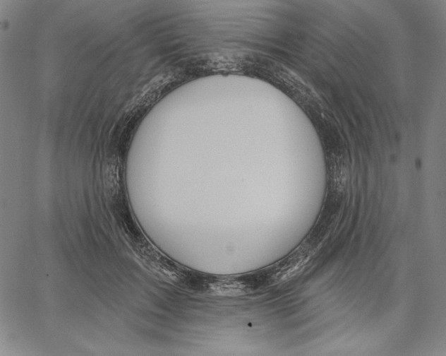 X0000066530603200604071619