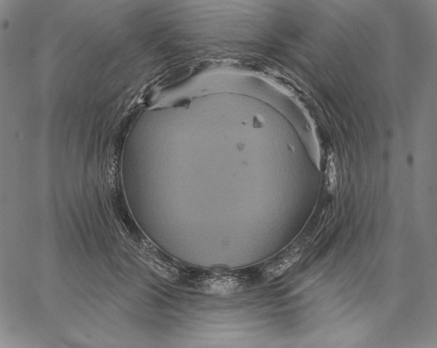 X0000066530604200604071619