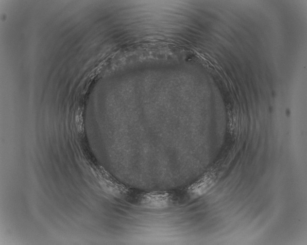 X0000066530606200604071619