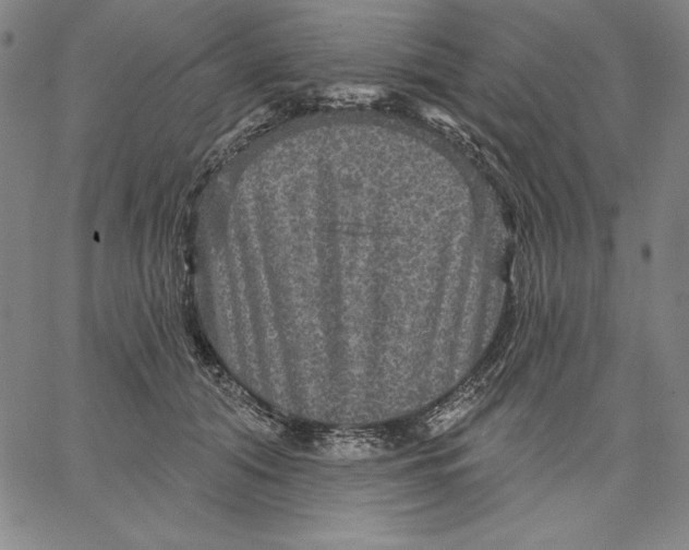 X0000066530608200604071619