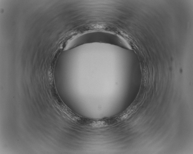 X0000066530609200604071619