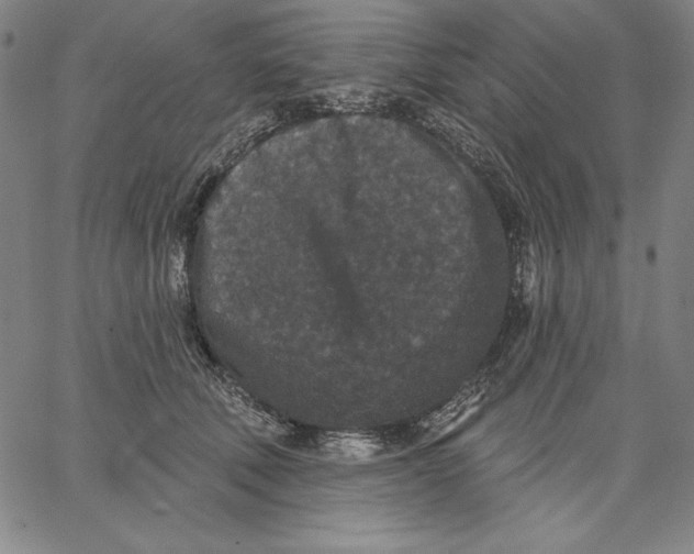 X0000066530610200604071619