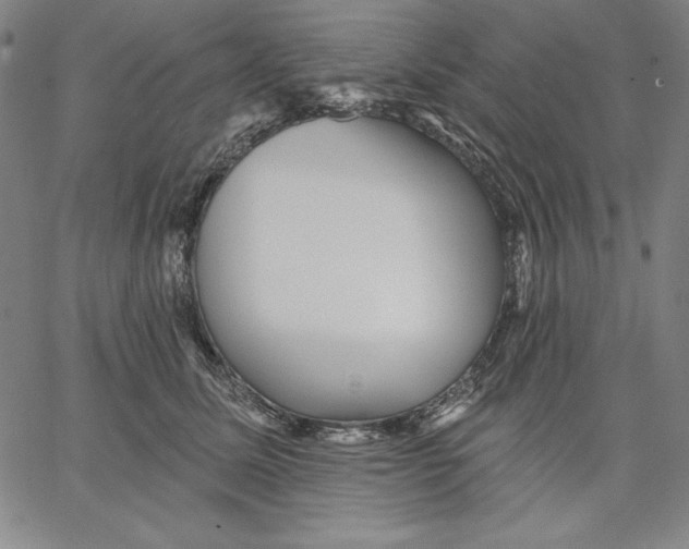 X0000066530611200604071619