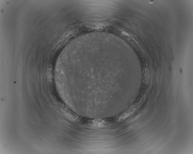 X0000066530612200604071618