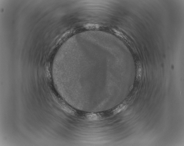 X0000066530616200604071618