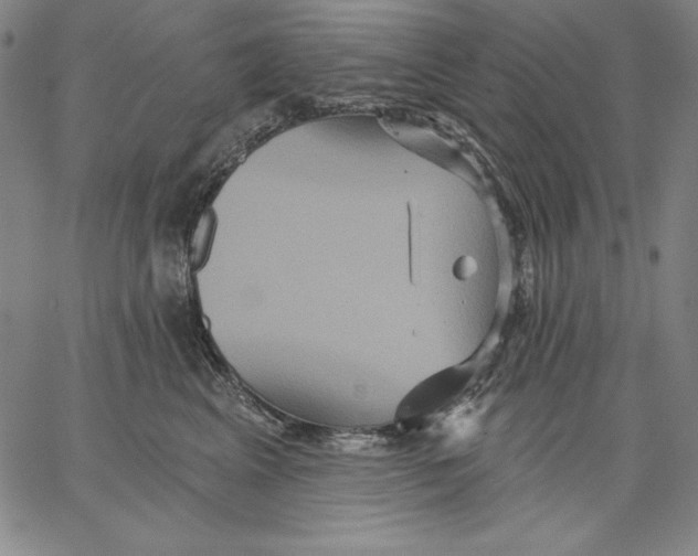 X0000066530617200604071618