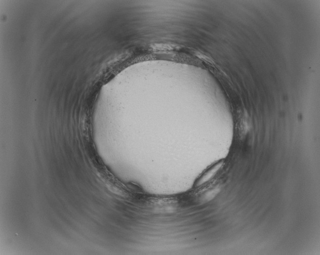 X0000066530619200604071618