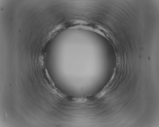 X0000066530621200604071618