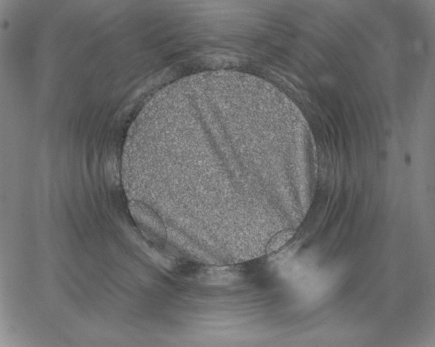 X0000066530622200604071618