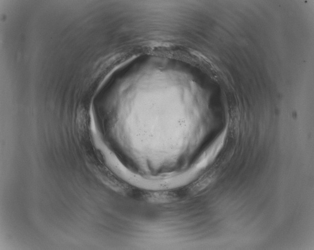 X0000066530623200604071618