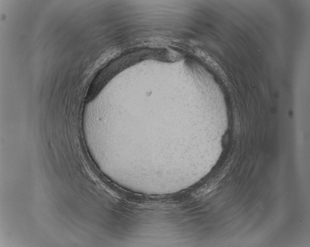 X0000066530625200604071618