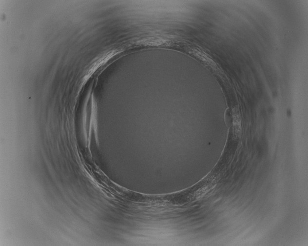 X0000066530626200604071618