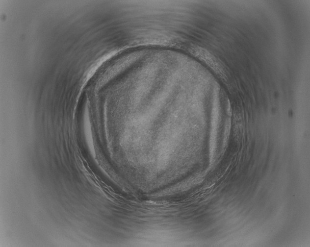 X0000066530628200604071618