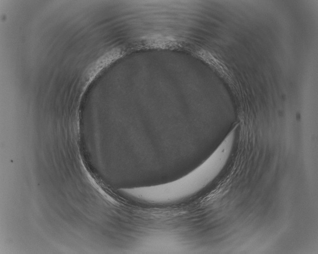 X0000066530630200604071618