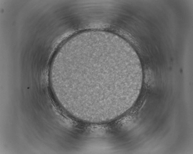 X0000066530632200604071618