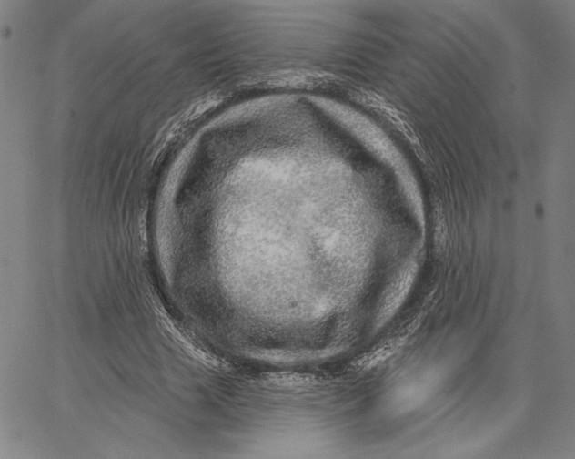 X0000066530633200604071618