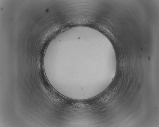 X0000066530635200604071618