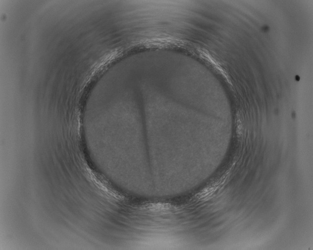 X0000066530637200604071618