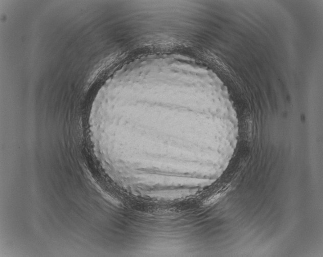 X0000066530638200604071618