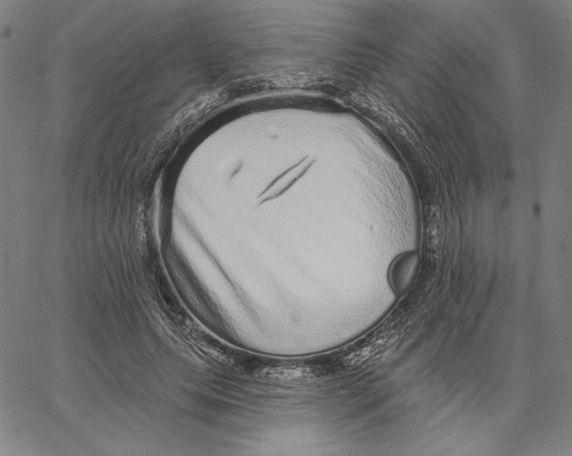 X0000066530639200604071618