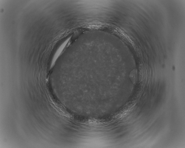 X0000066530641200604071618