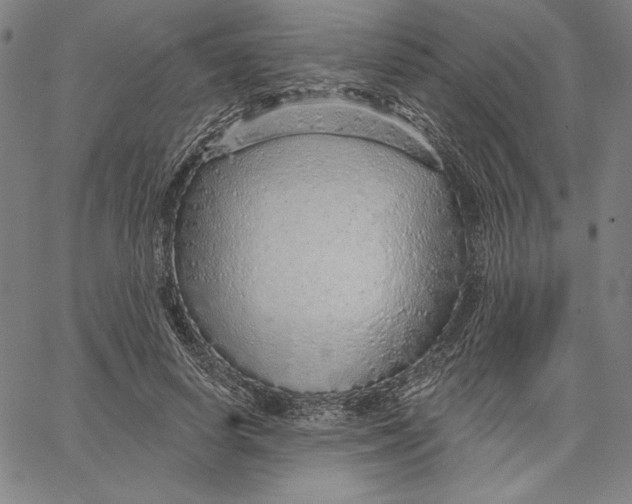 X0000066530642200604071618