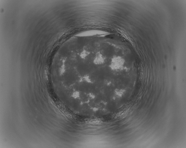 X0000066530643200604071618