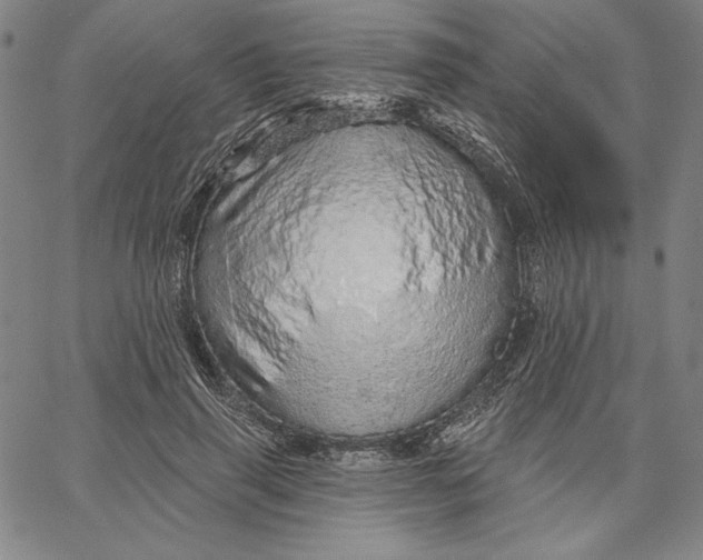 X0000066530645200604071618