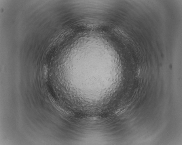 X0000066530646200604071618