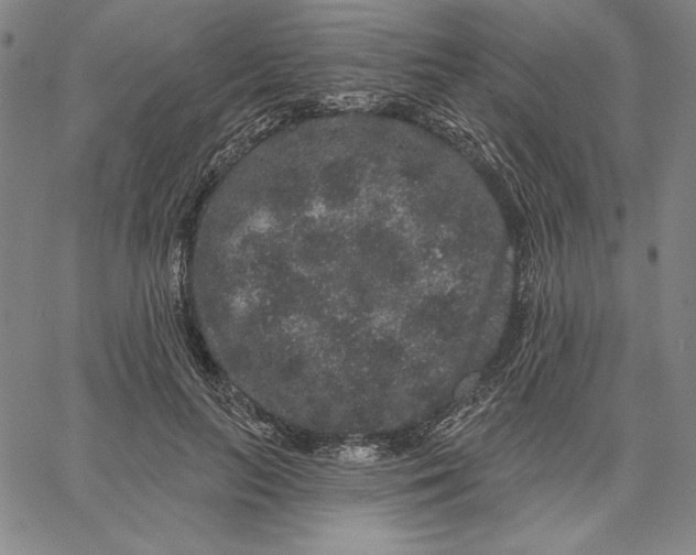 X0000066530647200604071618