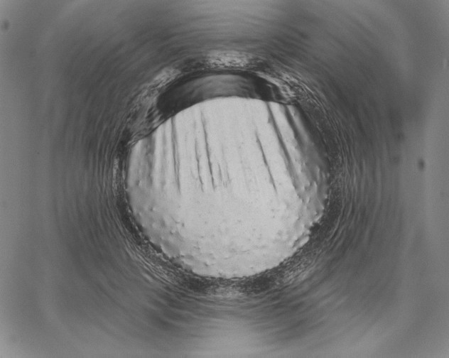 X0000066530649200604071618