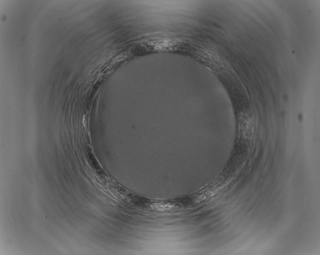 X0000066530650200604071618