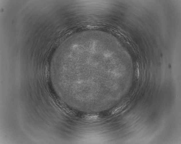 X0000066530651200604071618