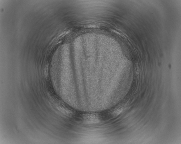 X0000066530652200604071618