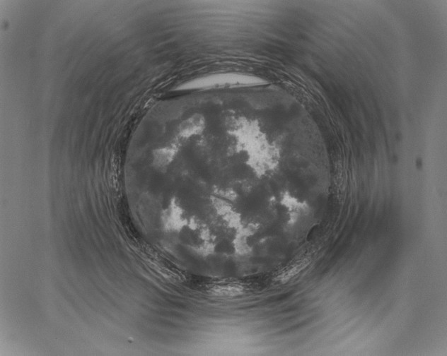 X0000066530653200604071618