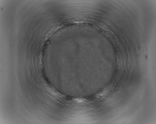 X0000066530654200604071618