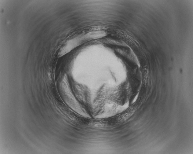 X0000066530655200604071618