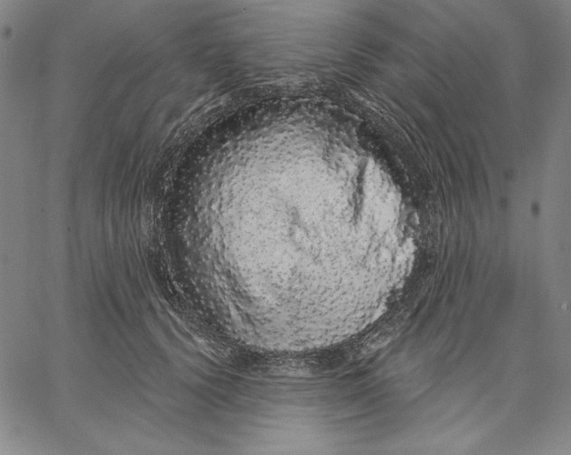 X0000066530656200604071618