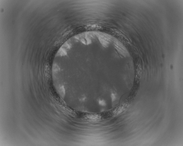 X0000066530659200604071618